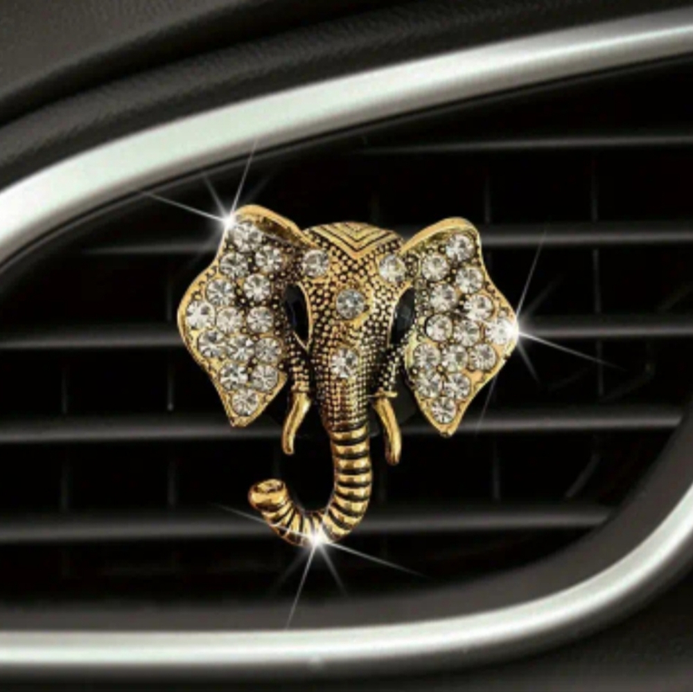 Car Accessory & Air Freshener